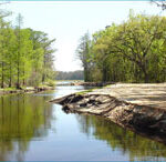 Lake Munson Landing